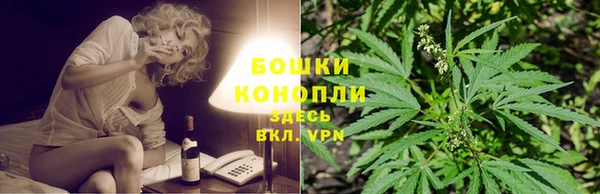 ешки Белокуриха
