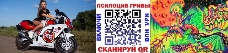 Галлюциногенные грибы мухоморы  купить  сайты  Ершов 